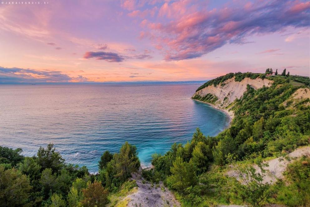 Vila Skolka Studio Порторож Екстер'єр фото